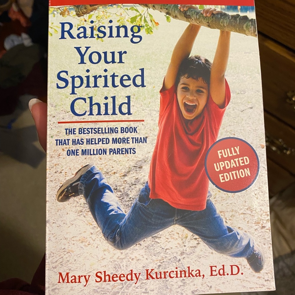 Raising your spirited child book